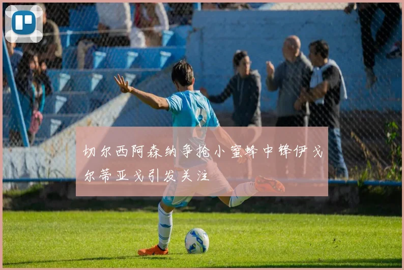 切尔西阿森纳争抢小蜜蜂中锋伊戈尔蒂亚戈引发关注